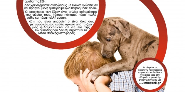 Η ΛΥΣΗ ΕΙΝΑΙ ΜΙΑ: ΕΘΕΛΟΝΤΙΚΗ ΕΡΓΑΣΙΑ