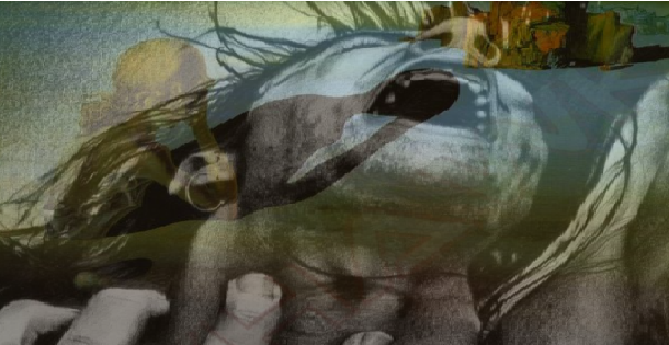 ΠΤΩΜΑΤΑ, ΔΑΚΡΥΑ, ΚΑΤΑΣΤΡΟΦΕΣ