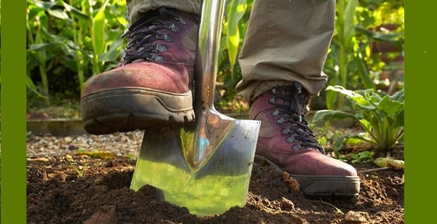 ΤΙ ΠΡΕΠΕΙ ΝΑ ΕΥΧΟΜΑΣΤΕ ΓΙΑ ΤΟ 2015