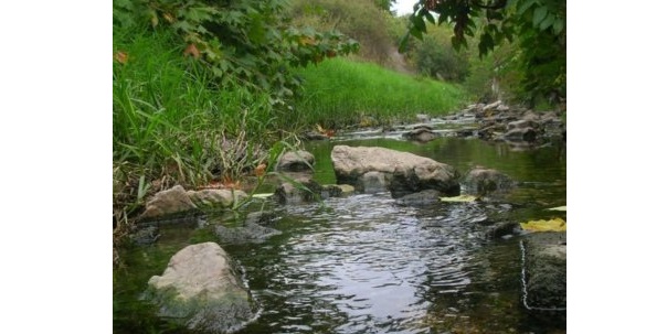 ΤΟ «ΡΕΜΑ ΤΗΣ ΠΙΚΡΟΔΑΦΝΗΣ» …..ΣΕ ΣΥΝΕΧΕΙΕΣ!
